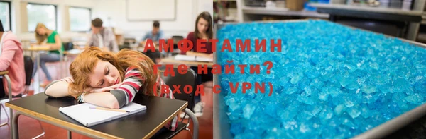 гидра Богородицк