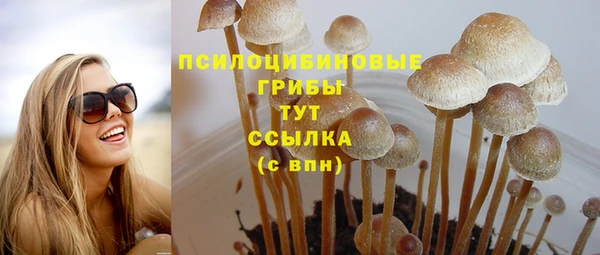 спиды Белоозёрский