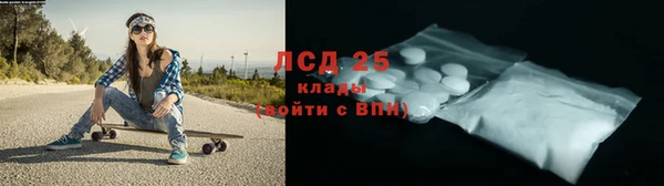 гидра Богородицк