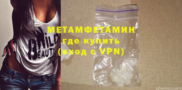 гидра Богородицк