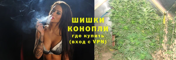 гидра Богородицк