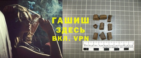гидра Богородицк