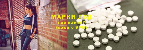 гидра Богородицк